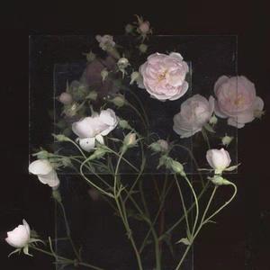 嗯……啊……叔侄
